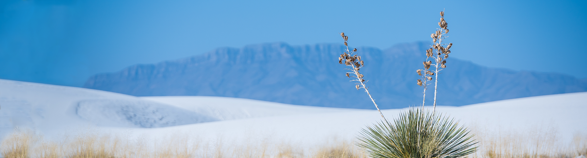 image of white sands national park, new mexico