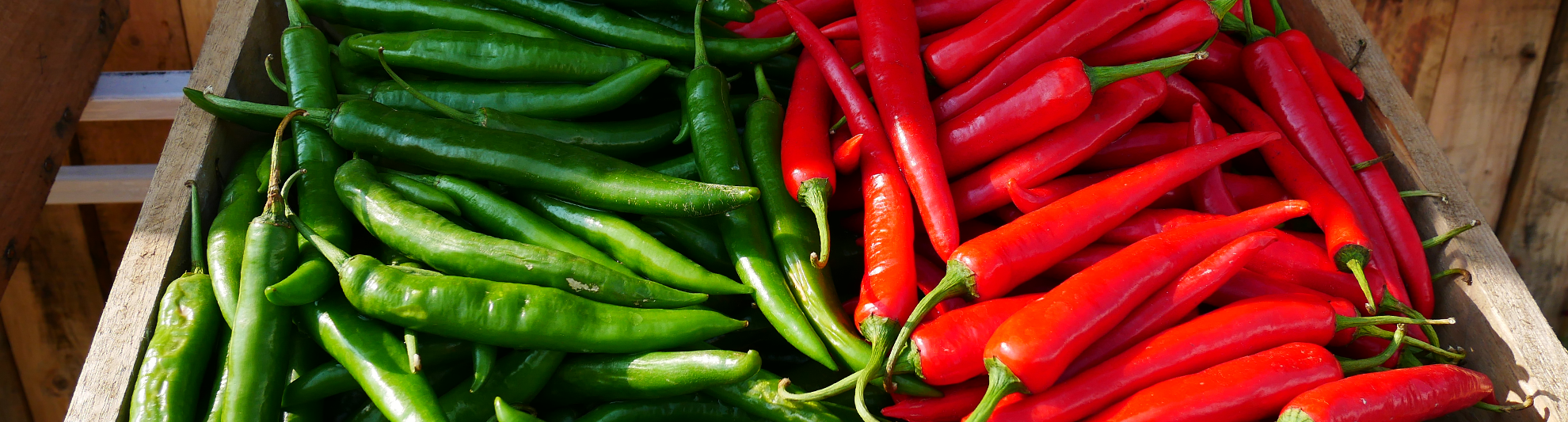 image of red and green chile