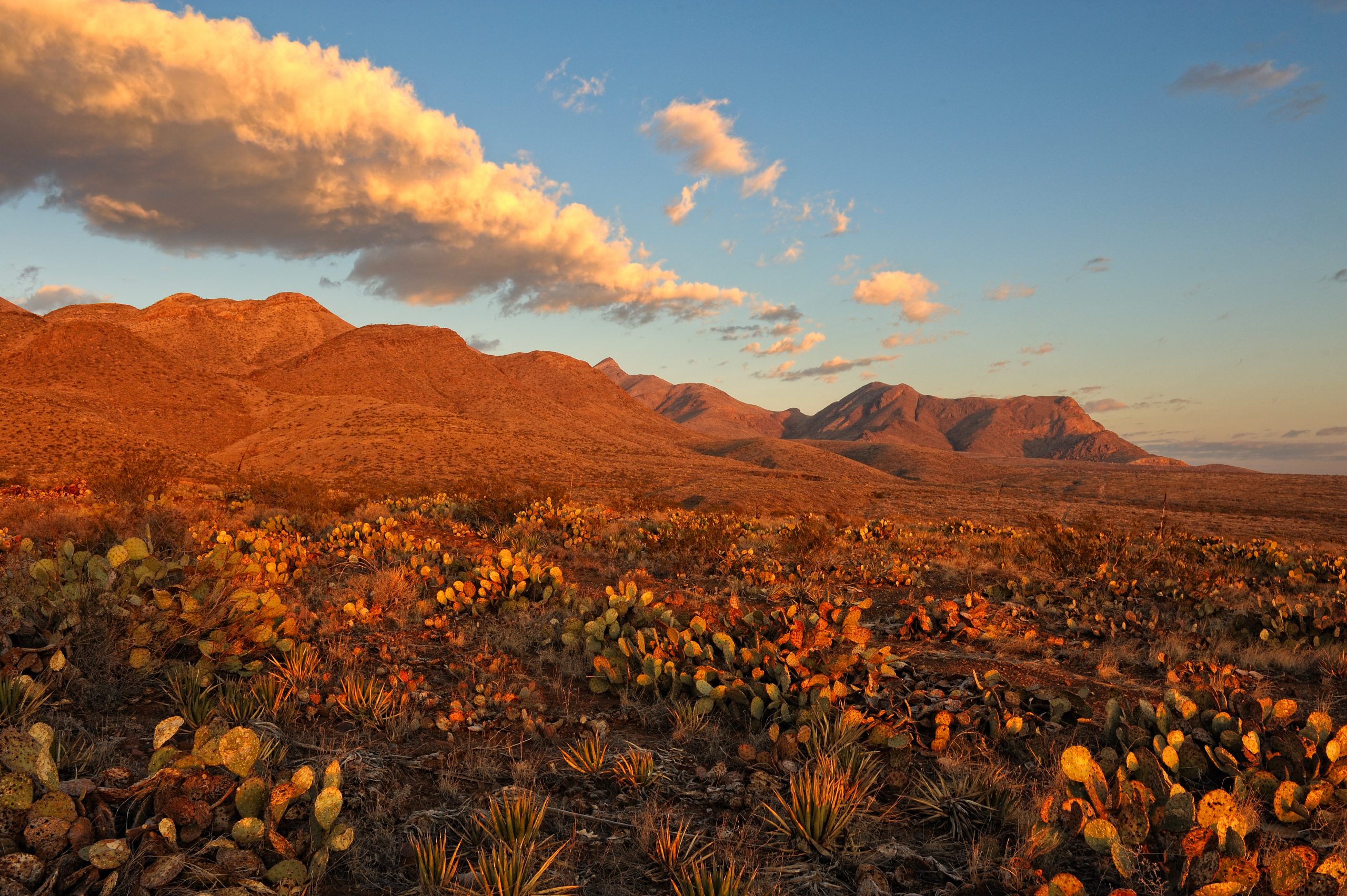 Franklin Mountains, El Paso, TX