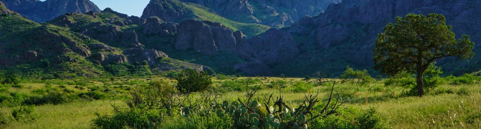 Soledad Canyon, NM